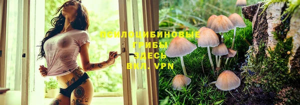jwh Алексин